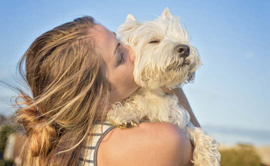 HD Assurances : assurance animaux, assurance santé